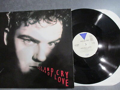 Hue & Cry - Labour Of Love - 12" Usa