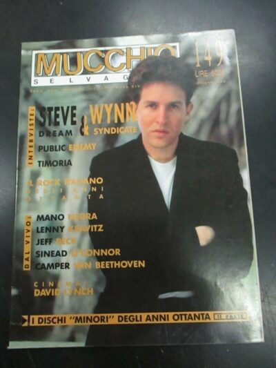 Il Mucchio Selvaggio N° 149 Giugno 1990 - Steve Wynn